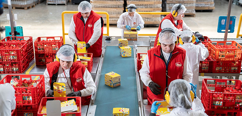 Resim:  Otizmli bireyler EKER fabrikasında paketleme yapıyor. 